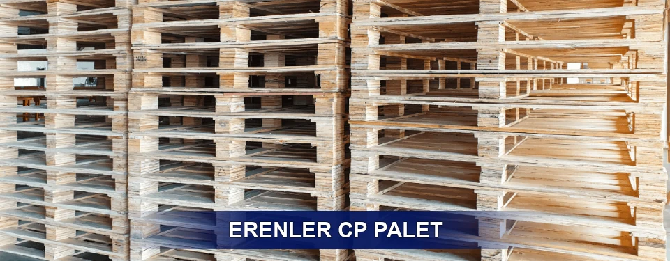 Erenler Standart Tipler